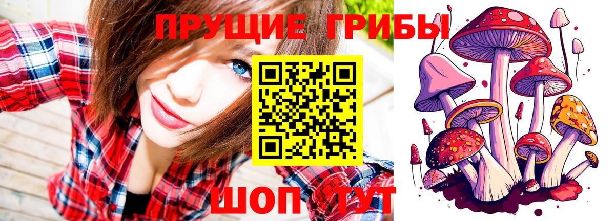 Комсомольск-на-Амуре  хочу наркоту  Вход с VPN  Псилоцибиновые грибы мухоморы  Галлюциногенные грибы мухоморы 